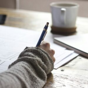 Freelance Developer & Agency Survival Guide (Sample)